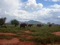 Kenya Safari Tsavo Est et Ouest 018